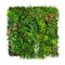 Neogard Plaque de plantes végétation mousse artificielle Premium 100x100cm 