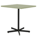 Schaffner Basic Table repas rabattable 70x70cm Noir 91 Vert Pastel 64 