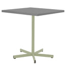 Schaffner Basic Table repas rabattable 70x70cm Vert Pastel 64 Gris Argent 78 