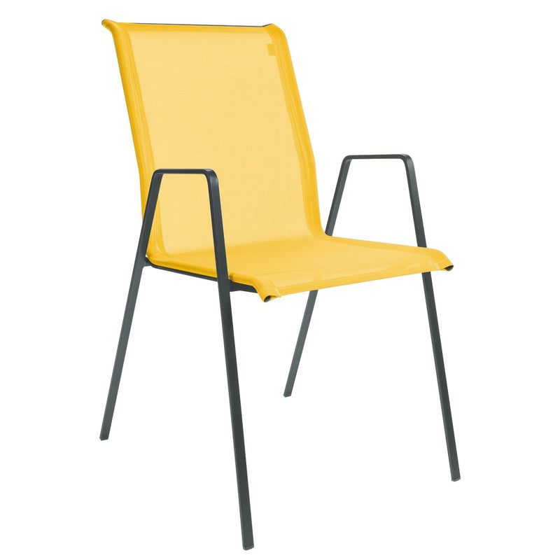 Schaffner Luzern Fauteuil repas empilable Anthracite 77 Jaune 11 