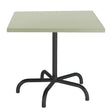 Schaffner Säntis Table repas rabattable 80x80cm Noir 91 Vert Pastel 64 