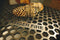 Tiger Fire Grille de cuisson nid d'abeilles pour modèles Ø88cm et Ø112cm 