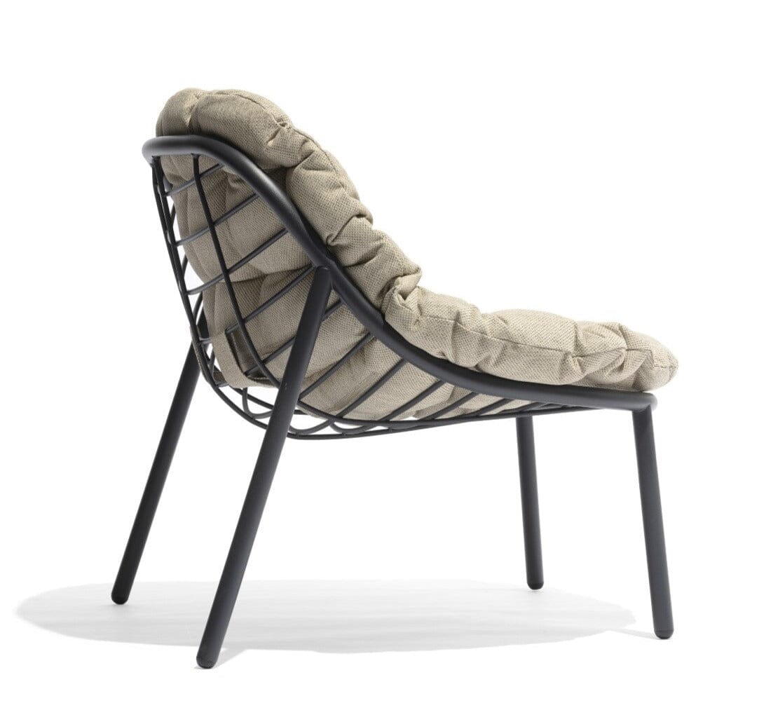 Todus Albus Low Lounge chair, Coussin inclus 